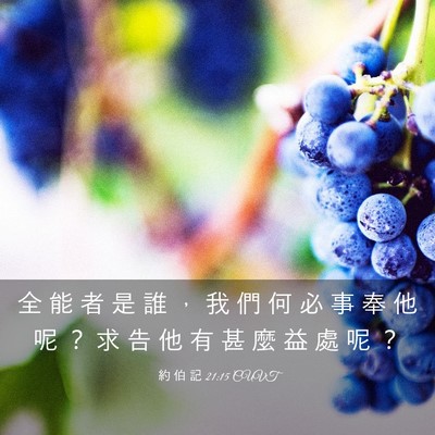 Picture 03 - 約 伯 記 21:15 CUVT - 全 能 者 是 誰 ， 我 們 何 必 事 奉 - Bible Verse Picture