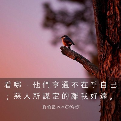 Picture 03 - 約 伯 記 21:16 CUVT - 看 哪 ， 他 們 亨 通 不 在 乎 自 己 - Bible Verse Picture