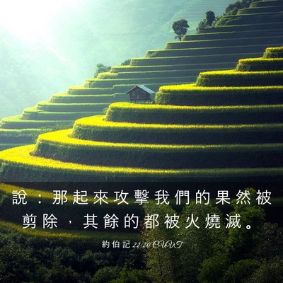Picture 03 - 約 伯 記 22:20 CUVT - 說 ： 那 起 來 攻 擊 我 們 的 果 然 - Bible Verse Picture