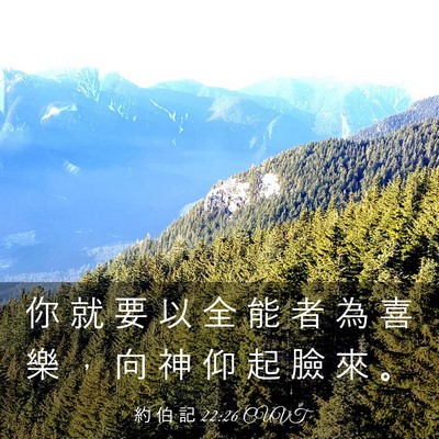 Picture 03 - 約 伯 記 22:26 CUVT - 你 就 要 以 全 能 者 為 喜 樂 ， 向 - Bible Verse Picture