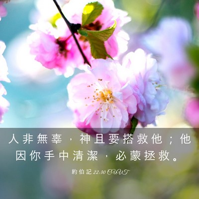 Picture 03 - 約 伯 記 22:30 CUVT - 人 非 無 辜 ， 神 且 要 搭 救 他 ； - Bible Verse Picture