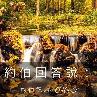 Picture 03 - 約 伯 記 23:1 CUVT - 約 伯 回 答 說 - Bible Verse Picture