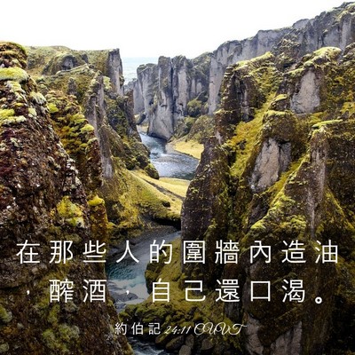 Picture 03 - 約 伯 記 24:11 CUVT - 在 那 些 人 的 圍 牆 內 造 油 ， 醡 - Bible Verse Picture