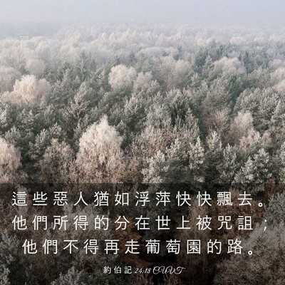 Picture 03 - 約 伯 記 24:18 CUVT - 這 些 惡 人 猶 如 浮 萍 快 快 飄 去 - Bible Verse Picture