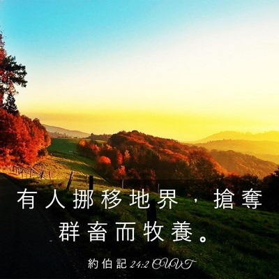Picture 03 - 約 伯 記 24:2 CUVT - 有 人 挪 移 地 界 ， 搶 奪 群 畜 而 - Bible Verse Picture