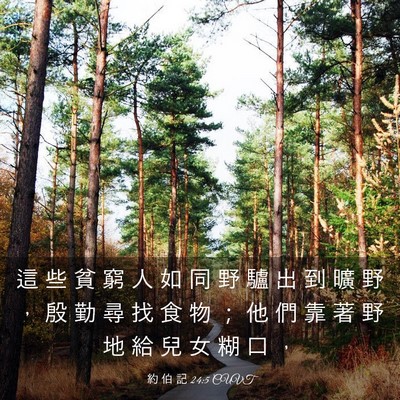 Picture 03 - 約 伯 記 24:5 CUVT - 這 些 貧 窮 人 如 同 野 驢 出 到 曠 - Bible Verse Picture