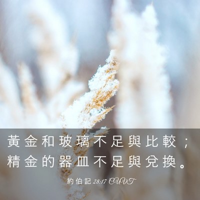 Picture 03 - 約 伯 記 28:17 CUVT - 黃 金 和 玻 璃 不 足 與 比 較 ； 精 - Bible Verse Picture