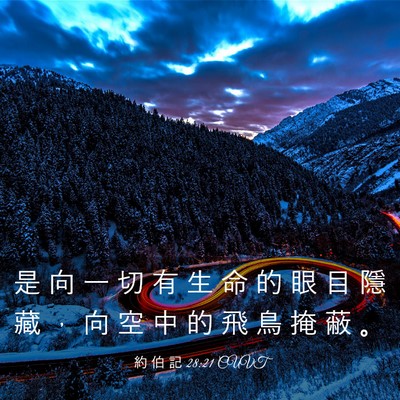 Picture 03 - 約 伯 記 28:21 CUVT - 是 向 一 切 有 生 命 的 眼 目 隱 藏 - Bible Verse Picture