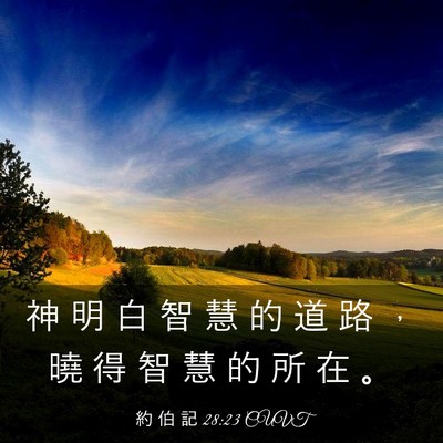 Picture 03 - 約 伯 記 28:23 CUVT - 神 明 白 智 慧 的 道 路 ， 曉 得 智 - Bible Verse Picture