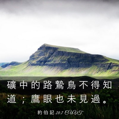 Picture 03 - 約 伯 記 28:7 CUVT - 礦 中 的 路 鷙 鳥 不 得 知 道 ； 鷹 - Bible Verse Picture
