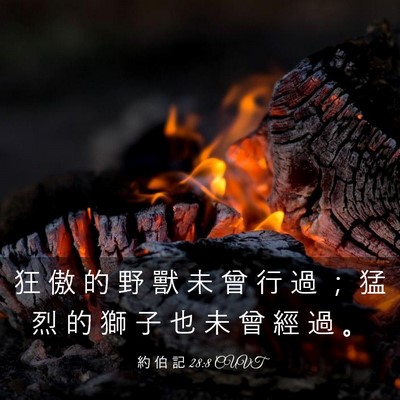 Picture 03 - 約 伯 記 28:8 CUVT - 狂 傲 的 野 獸 未 曾 行 過 ； 猛 烈 - Bible Verse Picture