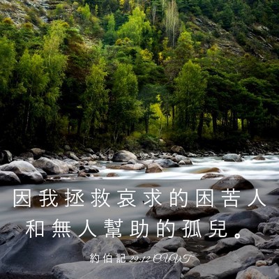 Picture 03 - 約 伯 記 29:12 CUVT - 因 我 拯 救 哀 求 的 困 苦 人 和 無 - Bible Verse Picture