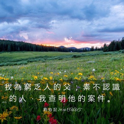 Picture 03 - 約 伯 記 29:16 CUVT - 我 為 窮 乏 人 的 父 ； 素 不 認 識 - Bible Verse Picture
