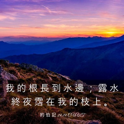 Picture 03 - 約 伯 記 29:19 CUVT - 我 的 根 長 到 水 邊 ； 露 水 終 夜 - Bible Verse Picture