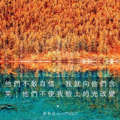 Picture 03 - 約 伯 記 29:24 CUVT - 他 們 不 敢 自 信 ， 我 就 向 他 們 - Bible Verse Picture