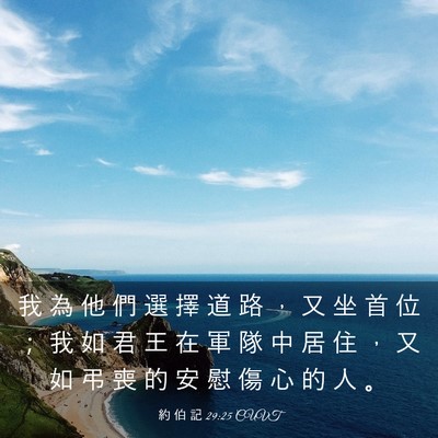 Picture 03 - 約 伯 記 29:25 CUVT - 我 為 他 們 選 擇 道 路 ， 又 坐 首 - Bible Verse Picture
