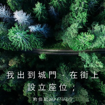 Picture 03 - 約 伯 記 29:7 CUVT - 我 出 到 城 門 ， 在 街 上 設 立 座 - Bible Verse Picture