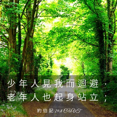 Picture 03 - 約 伯 記 29:8 CUVT - 少 年 人 見 我 而 迴 避 ， 老 年 人 - Bible Verse Picture