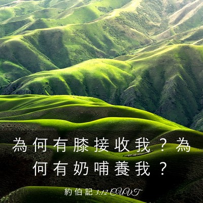 Picture 03 - 約 伯 記 3:12 CUVT - 為 何 有 膝 接 收 我 ？ 為 何 有 奶 - Bible Verse Picture