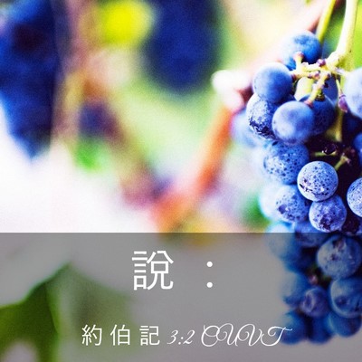 Picture 03 - 約 伯 記 3:2 CUVT - 說 - Bible Verse Picture