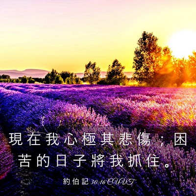 Picture 03 - 約 伯 記 30:16 CUVT - 現 在 我 心 極 其 悲 傷 ； 困 苦 的 - Bible Verse Picture