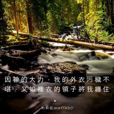 Picture 03 - 約 伯 記 30:18 CUVT - 因 神 的 大 力 ， 我 的 外 衣 污 穢 - Bible Verse Picture