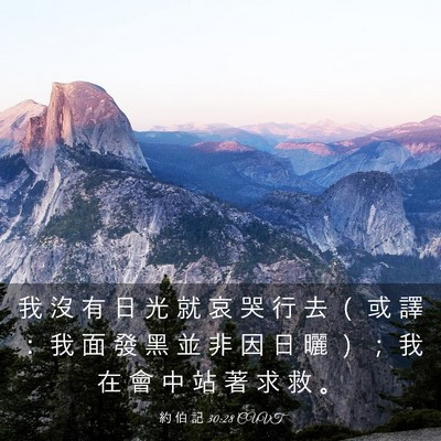Picture 03 - 約 伯 記 30:28 CUVT - 我 沒 有 日 光 就 哀 哭 行 去 （ 或 - Bible Verse Picture