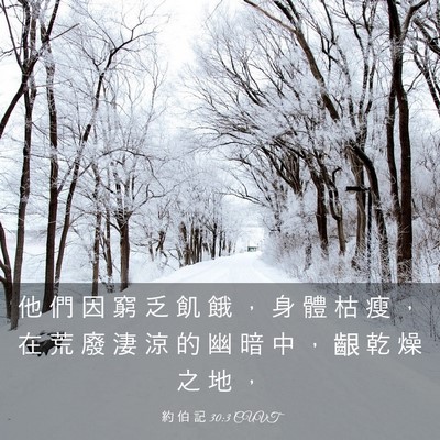 Picture 03 - 約 伯 記 30:3 CUVT - 他 們 因 窮 乏 飢 餓 ， 身 體 枯 瘦 - Bible Verse Picture