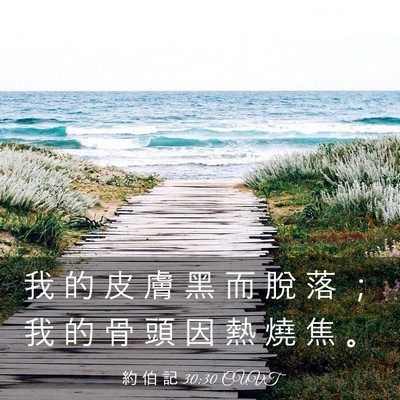 Picture 03 - 約 伯 記 30:30 CUVT - 我 的 皮 膚 黑 而 脫 落 ； 我 的 骨 - Bible Verse Picture