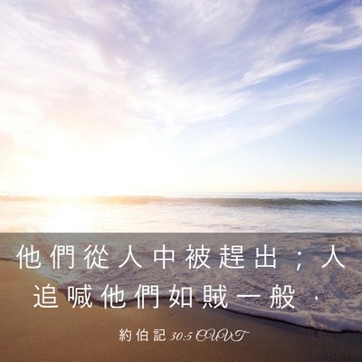 Picture 03 - 約 伯 記 30:5 CUVT - 他 們 從 人 中 被 趕 出 ； 人 追 喊 - Bible Verse Picture