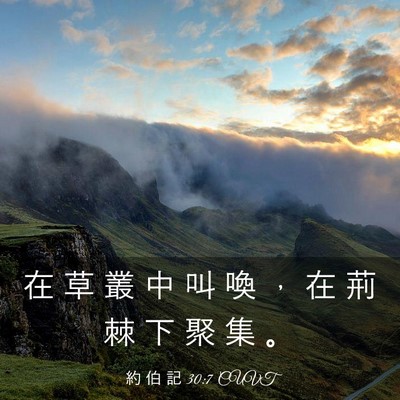 Picture 03 - 約 伯 記 30:7 CUVT - 在 草 叢 中 叫 喚 ， 在 荊 棘 下 聚 - Bible Verse Picture