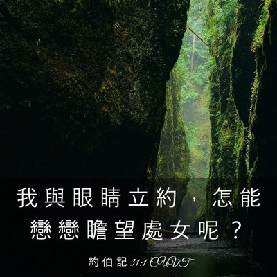 Picture 03 - 約 伯 記 31:1 CUVT - 我 與 眼 睛 立 約 ， 怎 能 戀 戀 瞻 - Bible Verse Picture