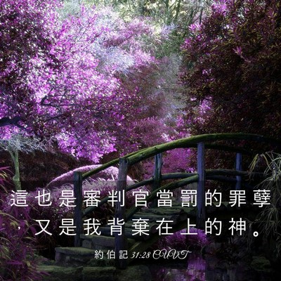 Picture 03 - 約 伯 記 31:28 CUVT - 這 也 是 審 判 官 當 罰 的 罪 孽 ， - Bible Verse Picture