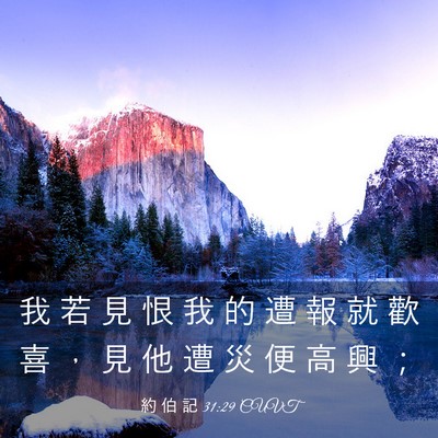 Picture 03 - 約 伯 記 31:29 CUVT - 我 若 見 恨 我 的 遭 報 就 歡 喜 ， - Bible Verse Picture