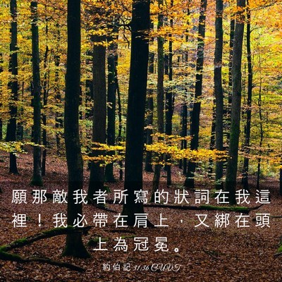 Picture 03 - 約 伯 記 31:36 CUVT - 願 那 敵 我 者 所 寫 的 狀 詞 在 我 - Bible Verse Picture