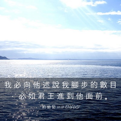 Picture 03 - 約 伯 記 31:37 CUVT - 我 必 向 他 述 說 我 腳 步 的 數 目 - Bible Verse Picture