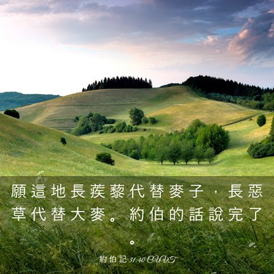 Picture 03 - 約 伯 記 31:40 CUVT - 願 這 地 長 蒺 藜 代 替 麥 子 ， 長 - Bible Verse Picture