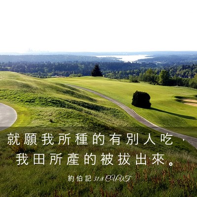 Picture 03 - 約 伯 記 31:8 CUVT - 就 願 我 所 種 的 有 別 人 吃 ， 我 - Bible Verse Picture