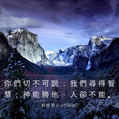 Picture 03 - 約 伯 記 32:13 CUVT - 你 們 切 不 可 說 ： 我 們 尋 得 智 - Bible Verse Picture