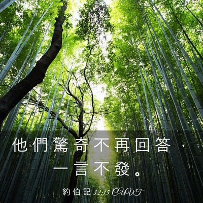 Picture 03 - 約 伯 記 32:15 CUVT - 他 們 驚 奇 不 再 回 答 ， 一 言 不 - Bible Verse Picture