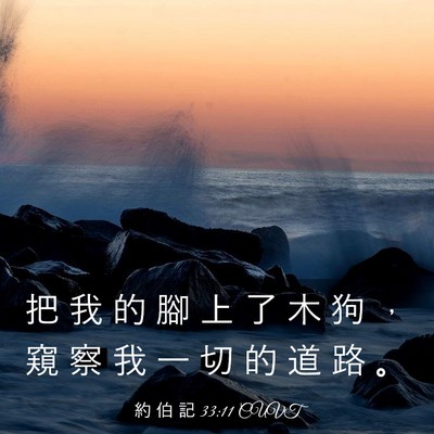 Picture 03 - 約 伯 記 33:11 CUVT - 把 我 的 腳 上 了 木 狗 ， 窺 察 我 - Bible Verse Picture