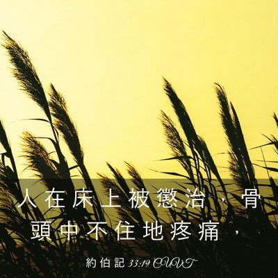 Picture 03 - 約 伯 記 33:19 CUVT - 人 在 床 上 被 懲 治 ， 骨 頭 中 不 - Bible Verse Picture