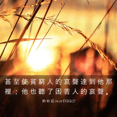 Picture 03 - 約 伯 記 34:28 CUVT - 甚 至 使 貧 窮 人 的 哀 聲 達 到 他 - Bible Verse Picture
