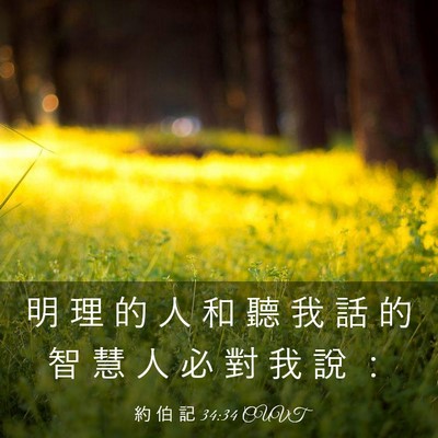 Picture 03 - 約 伯 記 34:34 CUVT - 明 理 的 人 和 聽 我 話 的 智 慧 人 - Bible Verse Picture