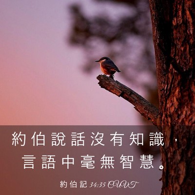 Picture 03 - 約 伯 記 34:35 CUVT - 約 伯 說 話 沒 有 知 識 ， 言 語 中 - Bible Verse Picture