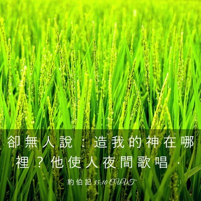 Picture 03 - 約 伯 記 35:10 CUVT - 卻 無 人 說 ： 造 我 的 神 在 哪 裡 - Bible Verse Picture