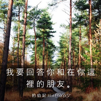 Picture 03 - 約 伯 記 35:4 CUVT - 我 要 回 答 你 和 在 你 這 裡 的 朋 - Bible Verse Picture