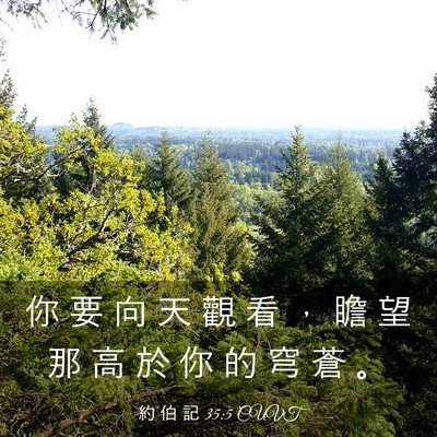 Picture 03 - 約 伯 記 35:5 CUVT - 你 要 向 天 觀 看 ， 瞻 望 那 高 於 - Bible Verse Picture