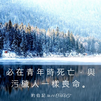 Picture 03 - 約 伯 記 36:14 CUVT - 必 在 青 年 時 死 亡 ， 與 污 穢 人 - Bible Verse Picture