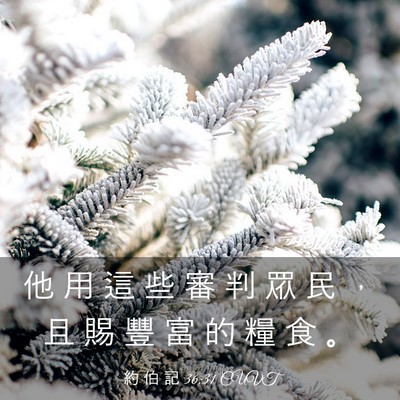 Picture 03 - 約 伯 記 36:31 CUVT - 他 用 這 些 審 判 眾 民 ， 且 賜 豐 - Bible Verse Picture
